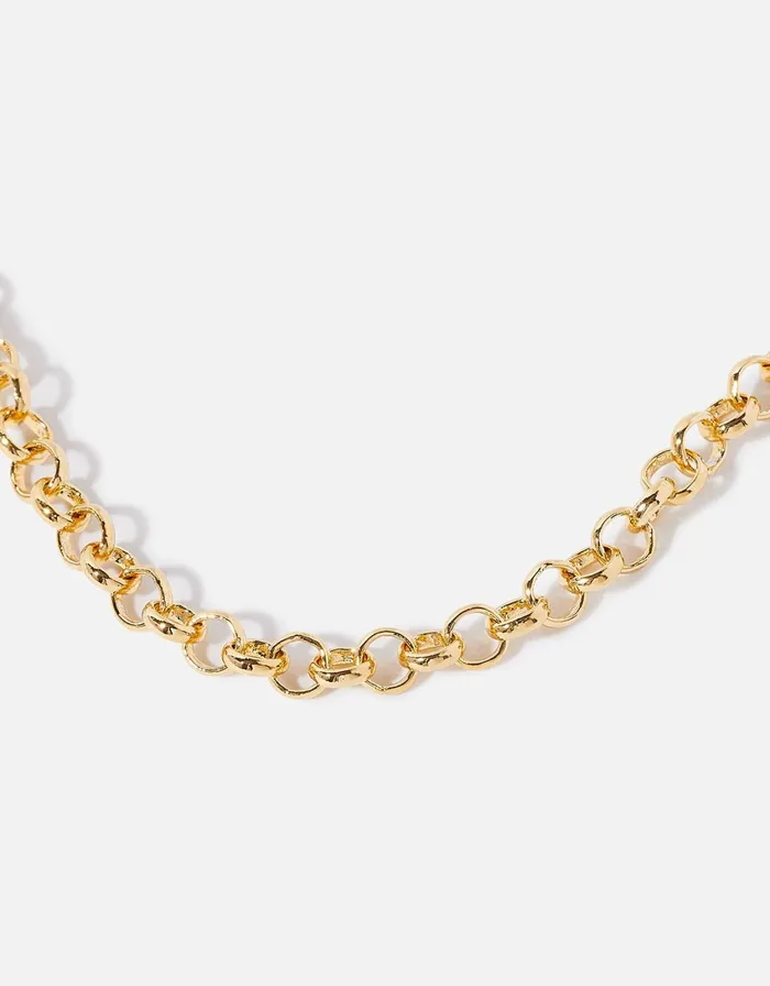 Accessorize GoldPlated Belcher Chain Long Necklace Women Necklaces