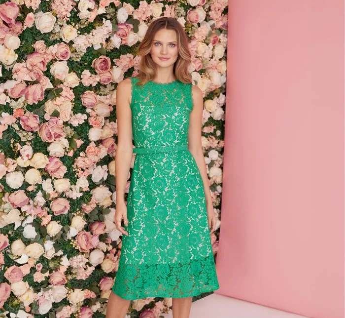 Adrianna Papell Day Dresses Sleeveless Lace Fit And Flare Dress With Sheer Details In Botanic Green 8211 Women Adrianna Papell Day Dresses Sleeveless Lace Fit And Flare Dress With Sheer Details In Botanic Green 8211 Women