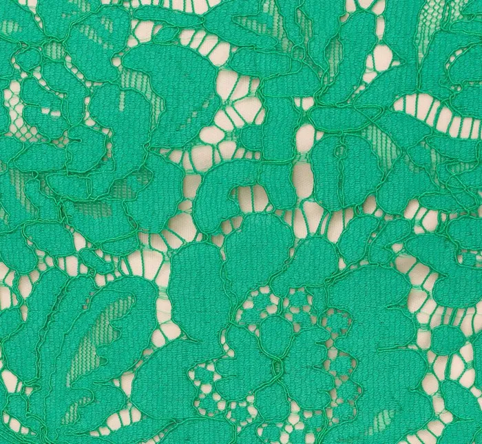 Adrianna Papell Day Dresses Sleeveless Lace Fit And Flare Dress With Sheer Details In Botanic Green 8211 Women