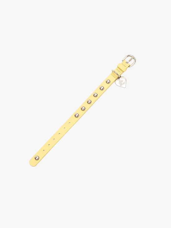 Dog Stud Collar Butter Women Pet Lisa Says Gah