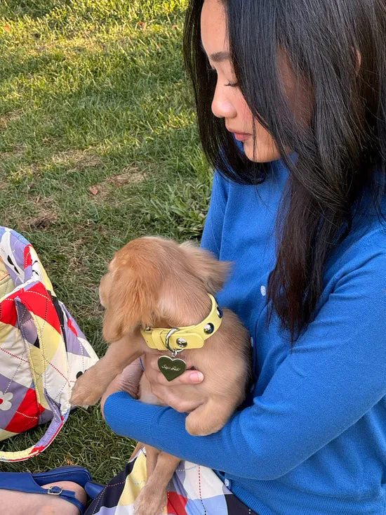 Dog Stud Collar Butter Women Pet Lisa Says Gah