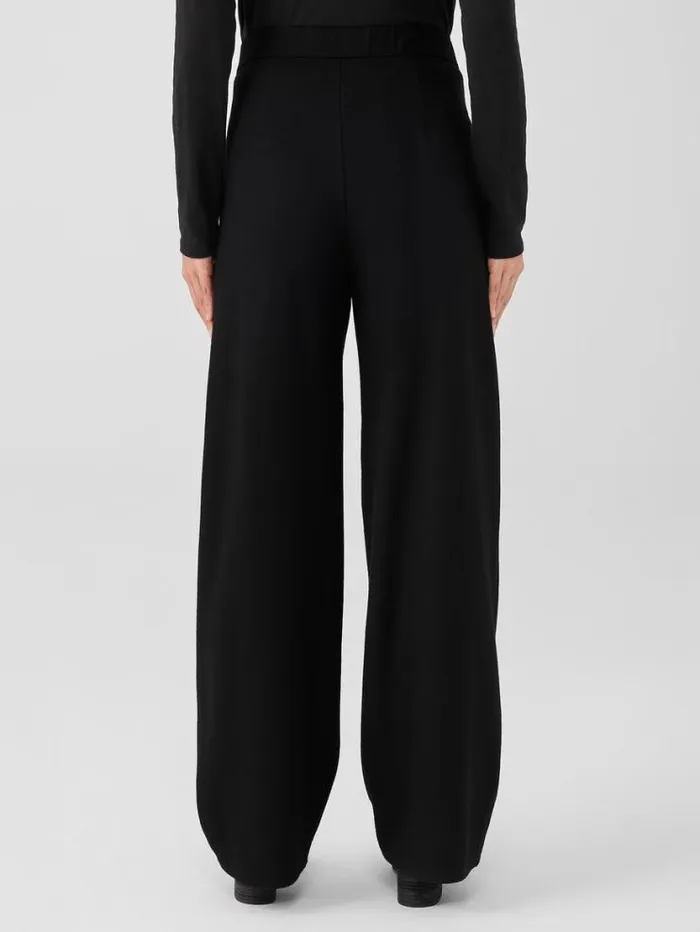 Eileen Fisher Pants Shorts and Jumpsuits Boiled Wool Jersey Pleated WideLeg Pant Black 8211 Shop