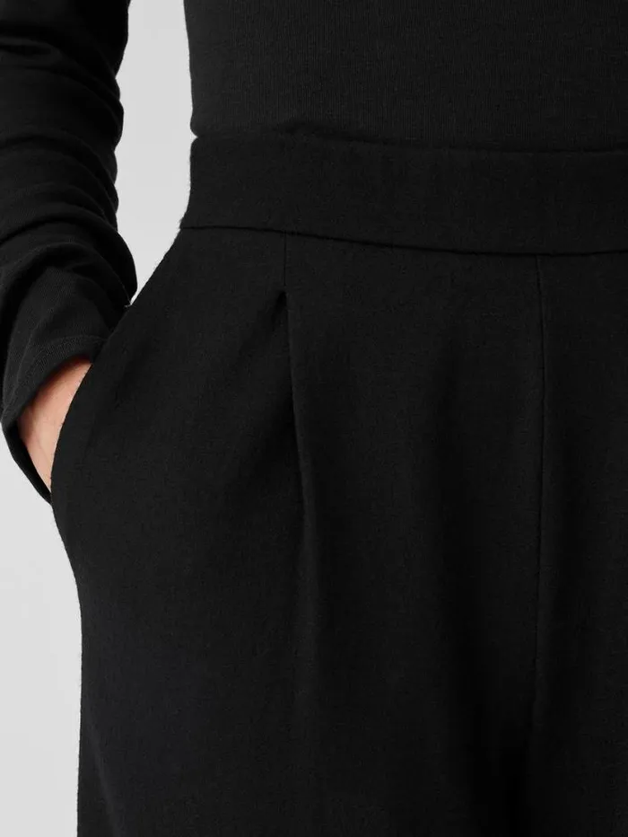 Eileen Fisher Pants Shorts and Jumpsuits Boiled Wool Jersey Pleated WideLeg Pant Black 8211 Shop