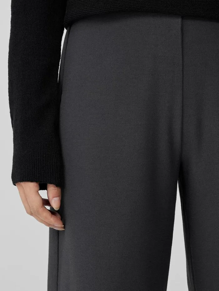 Eileen Fisher Pants Shorts and Jumpsuits Washable Stretch Crepe WideLeg Pant Graphite 8211 Shop