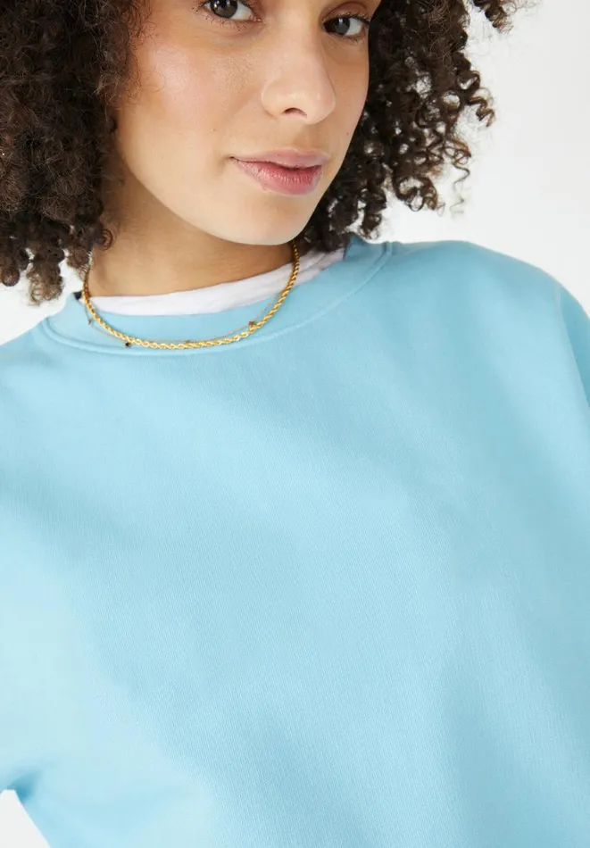 Hush Sweatshirts and Hoodies Women Emett Cotton Relaxed Sweatshirt Light Blue