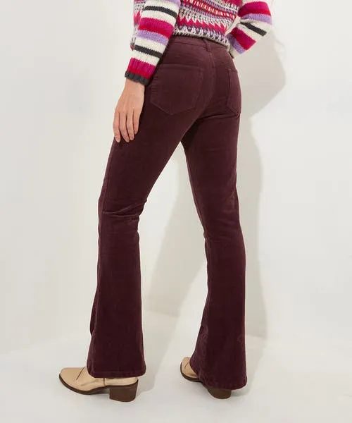 Jeans and Trousers Apparel Joebrowns Cosy Cabin Cord Trousers Purple Jeans and Trousers Apparel Joebrowns Cosy Cabin Cord Trousers Purple