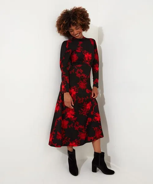 Petite Collection Apparel Joebrowns Daringly Different Jersey Dress Black Petite Collection Apparel Joebrowns Daringly Different Jersey Dress Black