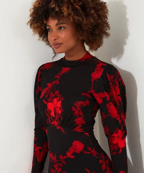 Petite Collection Apparel Joebrowns Daringly Different Jersey Dress Black Petite Collection Apparel Joebrowns Daringly Different Jersey Dress Black