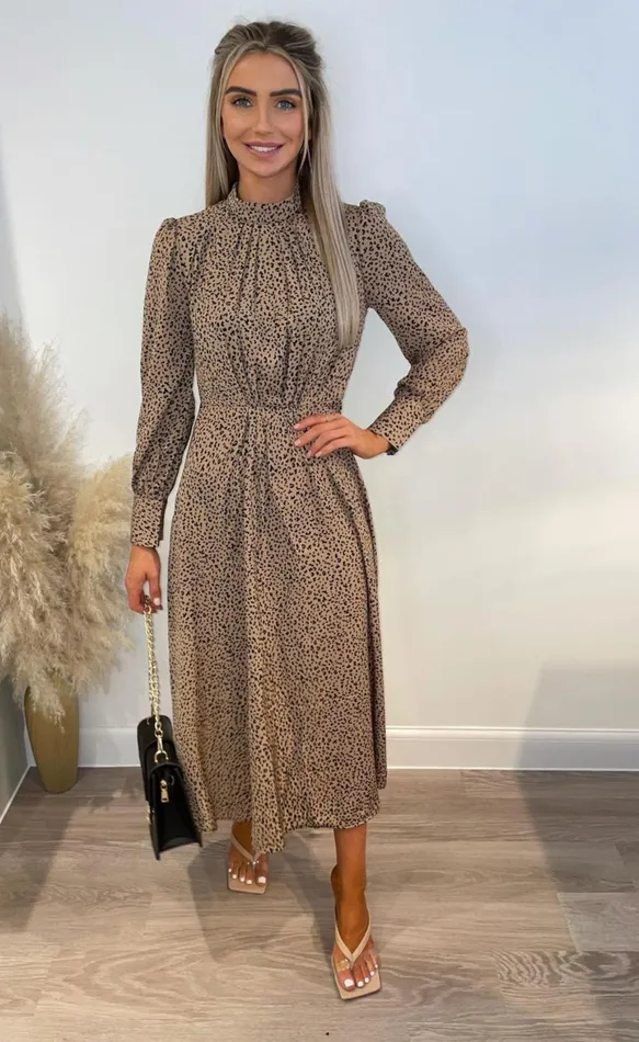 Stone Astha Animal Printed Midi Dress Women Missfiga Skater Dresses Stone Astha Animal Printed Midi Dress Women Missfiga Skater Dresses