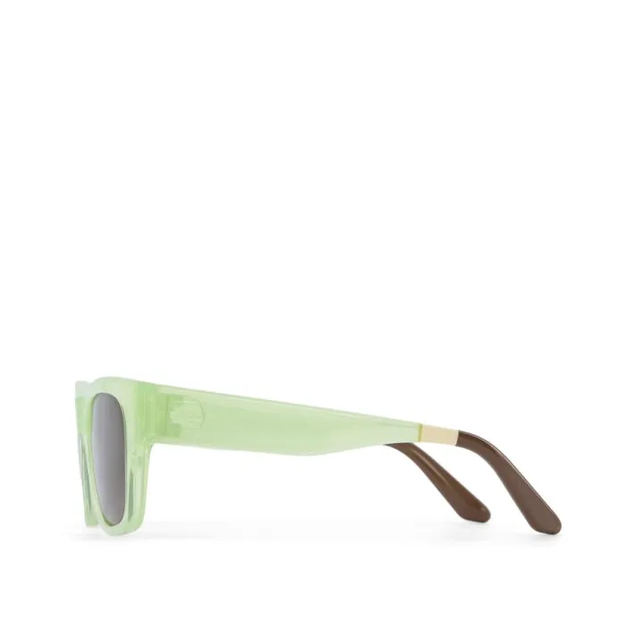 Toms Traveler Collection Devon Traveler Sunglasses Shiny Matchasolid Brown 8211 Gear Toms Traveler Collection Devon Traveler Sunglasses Shiny Matchasolid Brown 8211 Gear