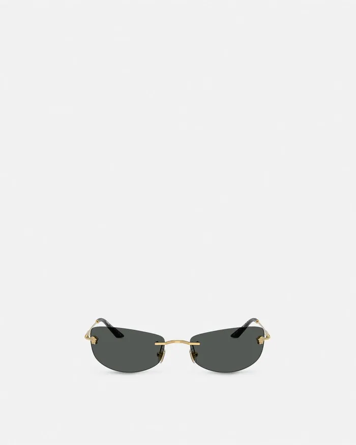Versace Sunglasses Men Runway Sunglasses Blackgold