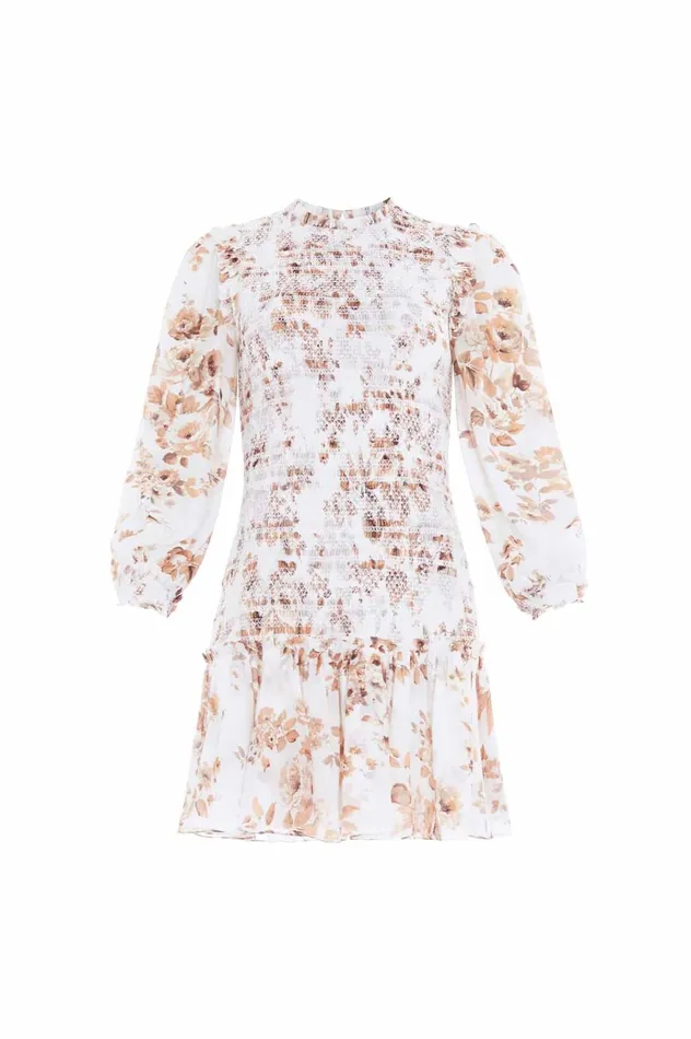 Vintage Rose Ellis Chiffon Micro Mini Dress Multi Women Needle and Thread Dresses