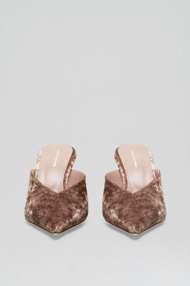 Women Shoes Scanlan Theodore VELVET MULE 75 MINK